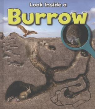 Burrow - Book  of the Usborne Look Inside