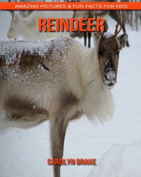Paperback Reindeer: Amazing Pictures & Fun Facts for Kids Book