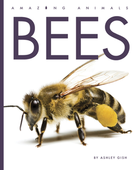 Library Binding Bees Book