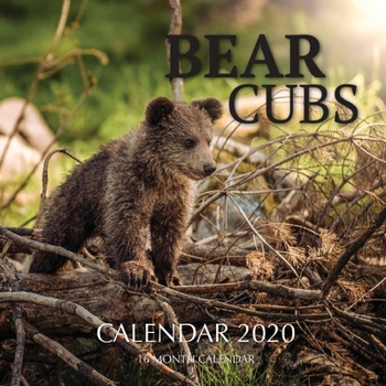 Bear Cubs Calendar 2020: 16 Month Calendar