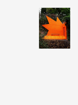 Paperback Misarchitectures Book