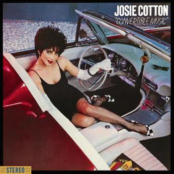 Vinyl Convertible Music Book