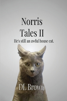 Norris Tales II: Still an Awful House Cat