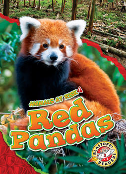 Library Binding Red Pandas Book