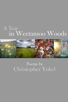 Paperback A Year In Weetamoo Woods Book