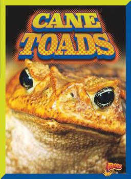 Paperback Cane Toads Book