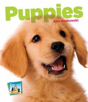 Puppies - Book  of the Baby Animals