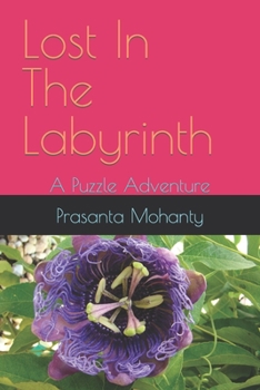 Paperback Lost In The Labyrinth: A Puzzle Adventure Book