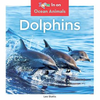 Dolphins - Book  of the Ocean Animals