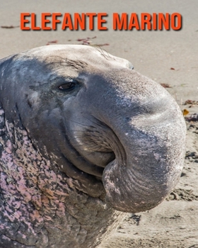 Paperback Elefante marino: Foto stupende e fatti divertenti Libro sui Elefante marino per bambini [Italian] Book