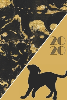 2020: 2020 Sunday Start Monthly Calendar and Organizer | Medium Hybrid Gift for Women