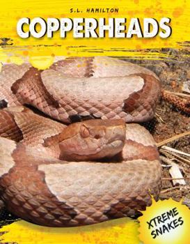 Copperheads - Book  of the Xtreme Snakes