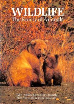 Hardcover Wildlife the Beauty of Animals Book