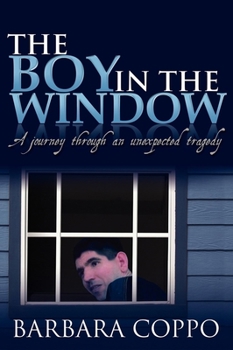 Hardcover The Boy in the Window Book