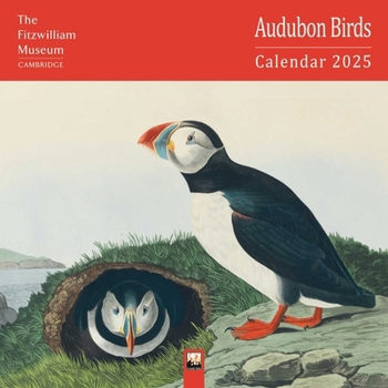 Calendar Fitzwilliam Museum: Audubon Birds Wall Calendar 2025 (Art Calendar) Book