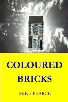 Paperback Coloured Bricks Book