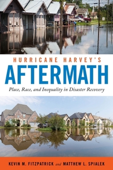 Paperback Hurricane Harvey's Aftermath: Place, Race, and Inequality in Disaster Recovery Book