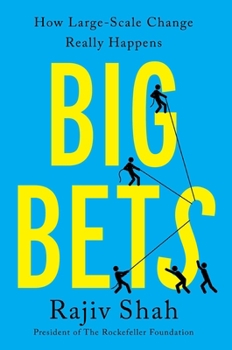 Hardcover Big Bets: How Large-Scale Change Really Happens Book