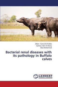 Paperback Bacterial renal diseases with its pathology in Buffalo calves Book