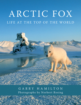 Paperback Arctic Fox: Life at the Top of the World Book