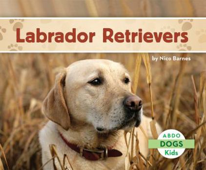 Library Binding Labrador Retrievers Book