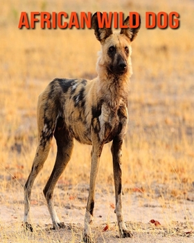 Paperback African Wild Dog: Super Fun Facts And Amazing Pictures Book