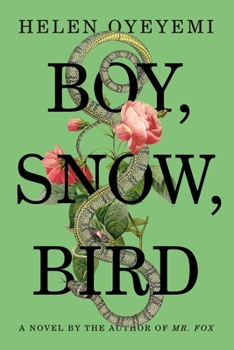 Hardcover Boy, Snow, Bird Book