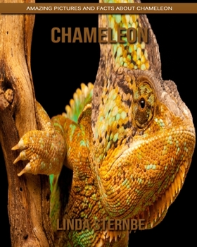 Paperback Chameleon: Amazing Pictures and Facts About Chameleon Book