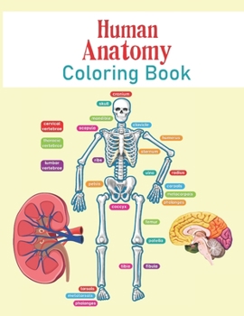 Human Anatomy Coloring Book: The Human Body For Kids and Adult Gift For Your children - Bones, Muscles, Blood, Nerves, and More for Adults, College ... Anatomy Coloring Book & Human Body Workbook.