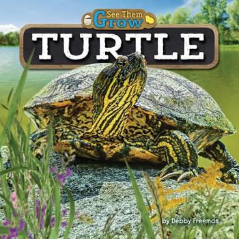 Library Binding Turtle Book