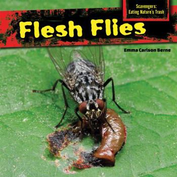 Library Binding Flesh Flies Book