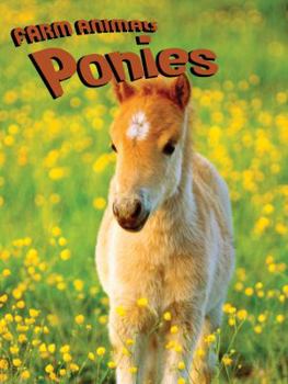 Library Binding Ponies Book