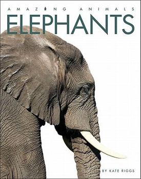 Paperback Amazing Animals: Elephants Book