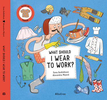 Hardcover What Should I Wear to Work? Book