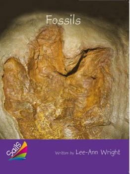 Paperback Book 2: Fossils: Leveled Reader Purple Grade 3 Book