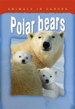 Paperback Polar Bears Book