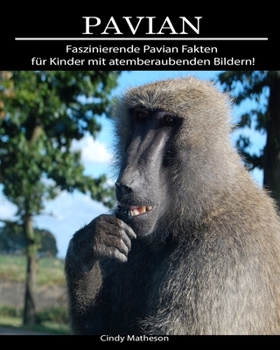 Pavian: Faszinierende Pavian Fakten für Kinder mit atemberaubenden Bildern! (German Edition)