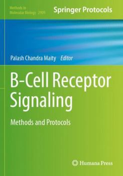 Paperback B-Cell Receptor Signaling: Methods and Protocols (Methods in Molecular Biology) Book