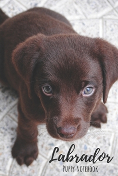 Labrador Puppy Notebook: Notebook (120 pages, 6"x9") : Lined Labrador Puppy Notebook / Journal - Great Accessories & Gift Idea for Labrador Puppy ... List, Dog Mom Gifts or Present for Dog Lovers