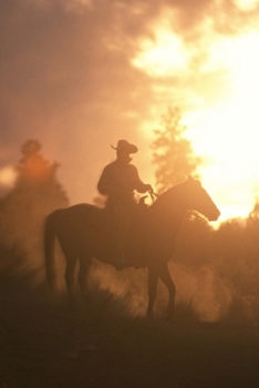 Paperback 2020 Daily Planner Horse Photo Equine Sunset Cowboy 388 Pages: 2020 Planners Calendars Organizers Datebooks Appointment Books Agendas Book