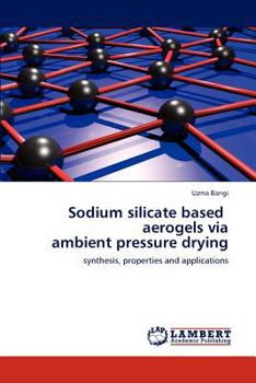 Paperback Sodium silicate based aerogels via ambient pressure drying Book