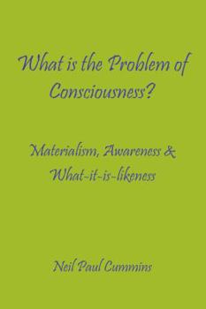 Paperback What is the Problem of Consciousness?: Materialism, Awareness & What-it-is-likeness Book