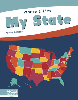 Paperback My State Book