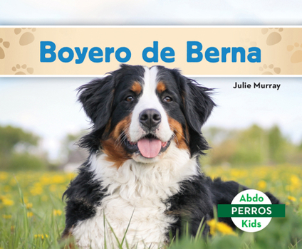 Library Binding Boyero de Berna (Bernese Mountain Dogs) [Spanish] Book