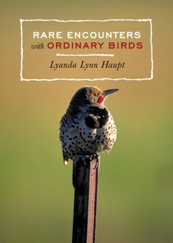 Paperback Rare Encounters with Ordinary Birds Book