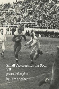 Paperback Small Victories for the Soul VII Book