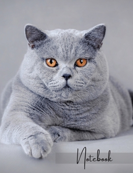 Notebook: Unlined - Plain Notebook - Blank Journal - 130 Pages - Large Format 8.5 x 11 in - Workbook - Composition - Cats - British Shorthair Cover Design