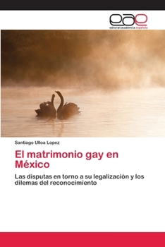 Paperback El matrimonio gay en México [Spanish] Book
