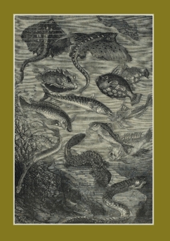 Carnet Blanc. Vingt Mille Lieues Sous Les Mers, Jules Verne, 1871. le Fleuve Noir