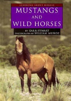 Hardcover Mustangs and Wild Horses Book